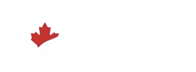Intel Visa Logo